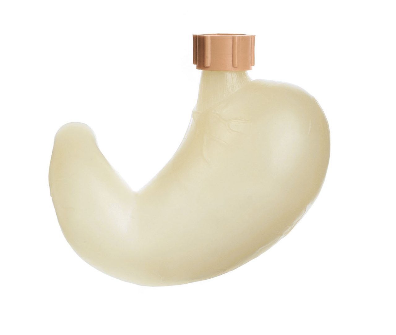 Stomach With Patent Closure