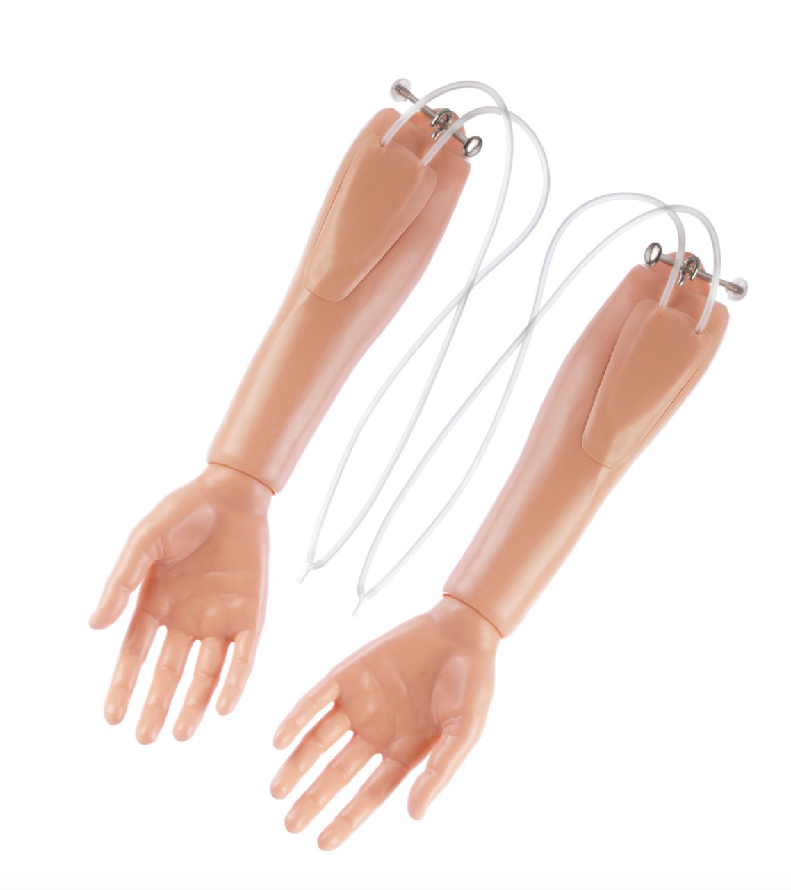 Left Forearm With Hand