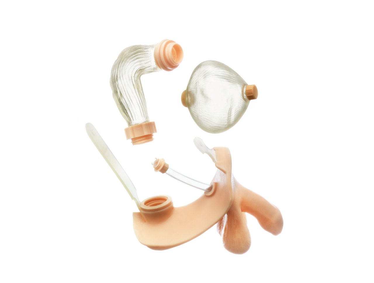 Male Genitalia With Bladder (Capacity 150 Ml) and Rectum With Patent Closure for Connection to the Bowel Unit
