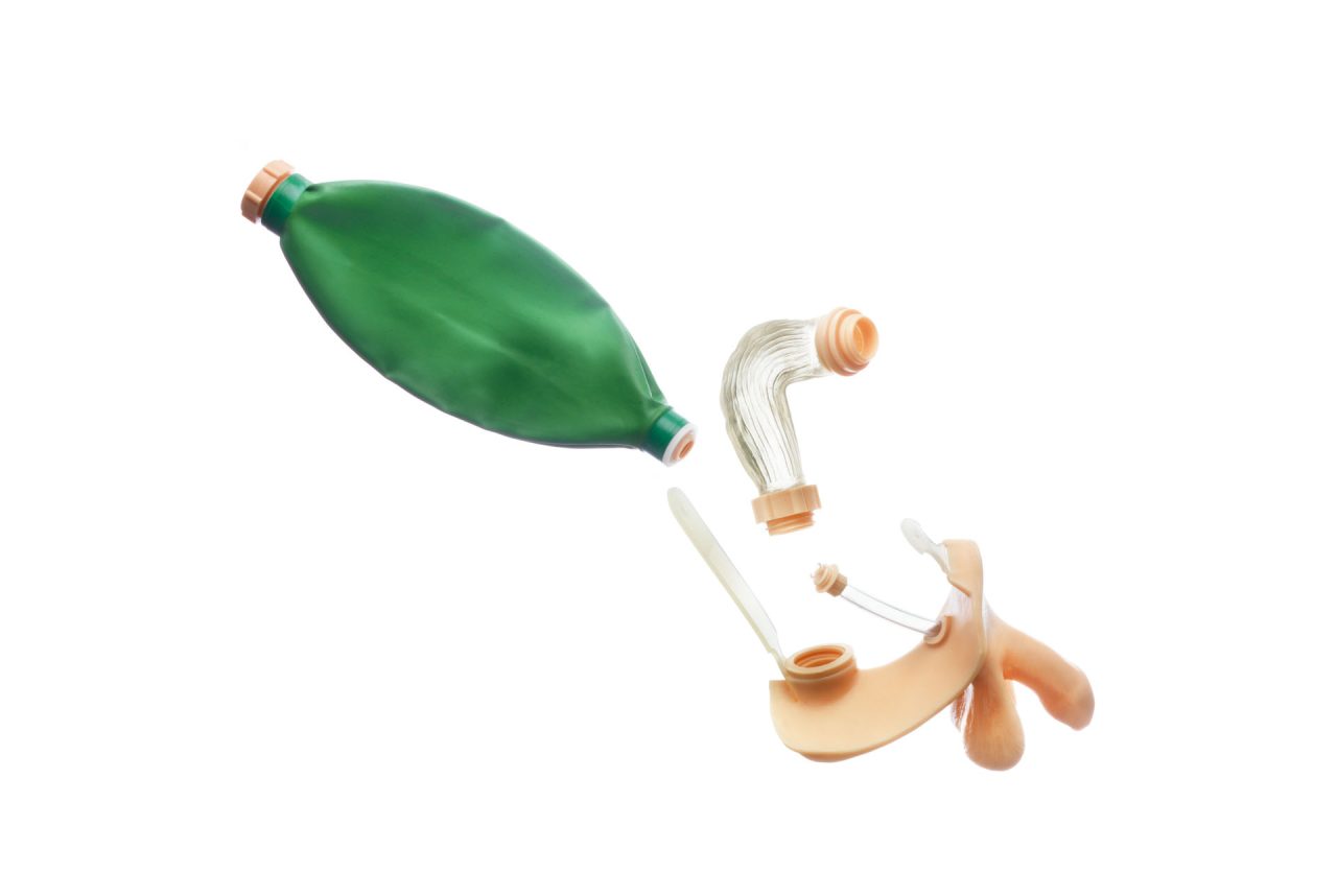 Male Genitalia With Bladder (Capacity 2 Litres) and Rectum With Patent Closure for Connection to the Bowel Unit