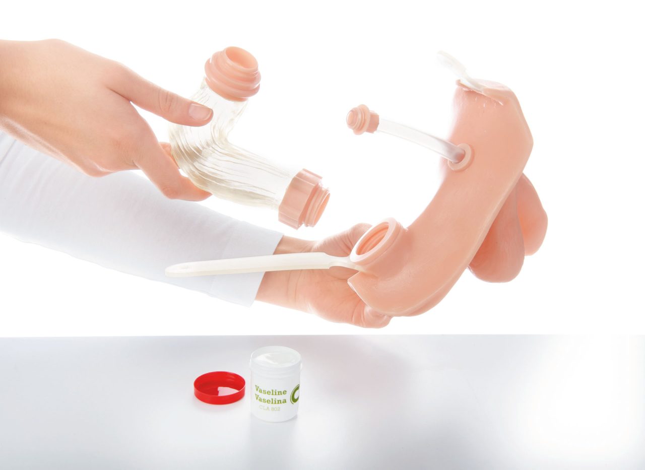 Rectum With Plug Cap