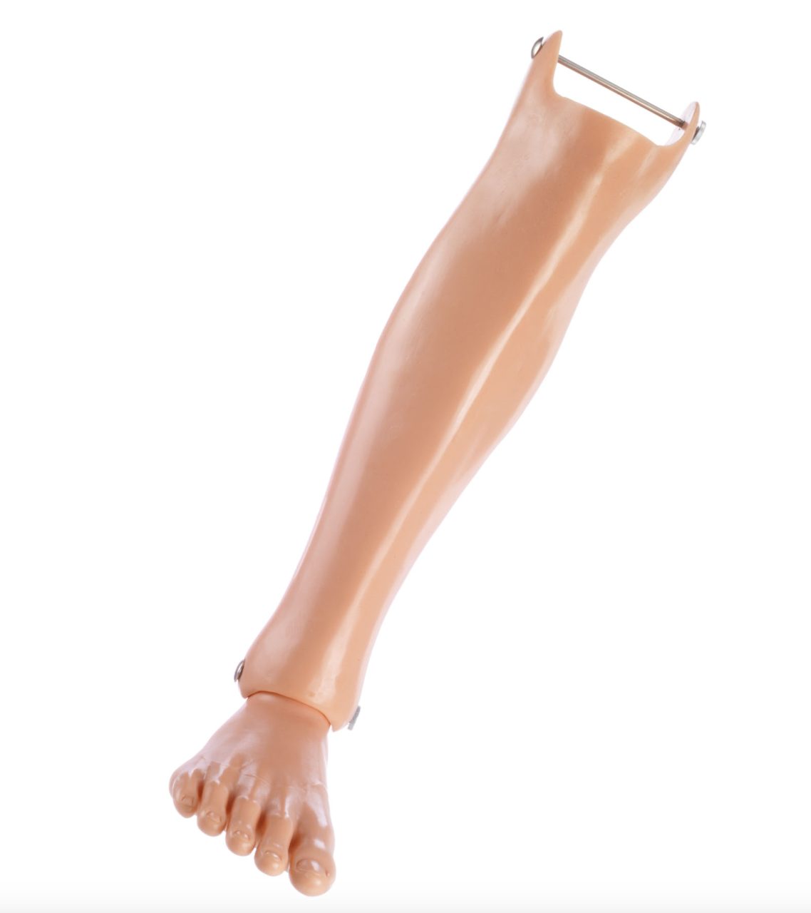 Right Lower Leg With Foot