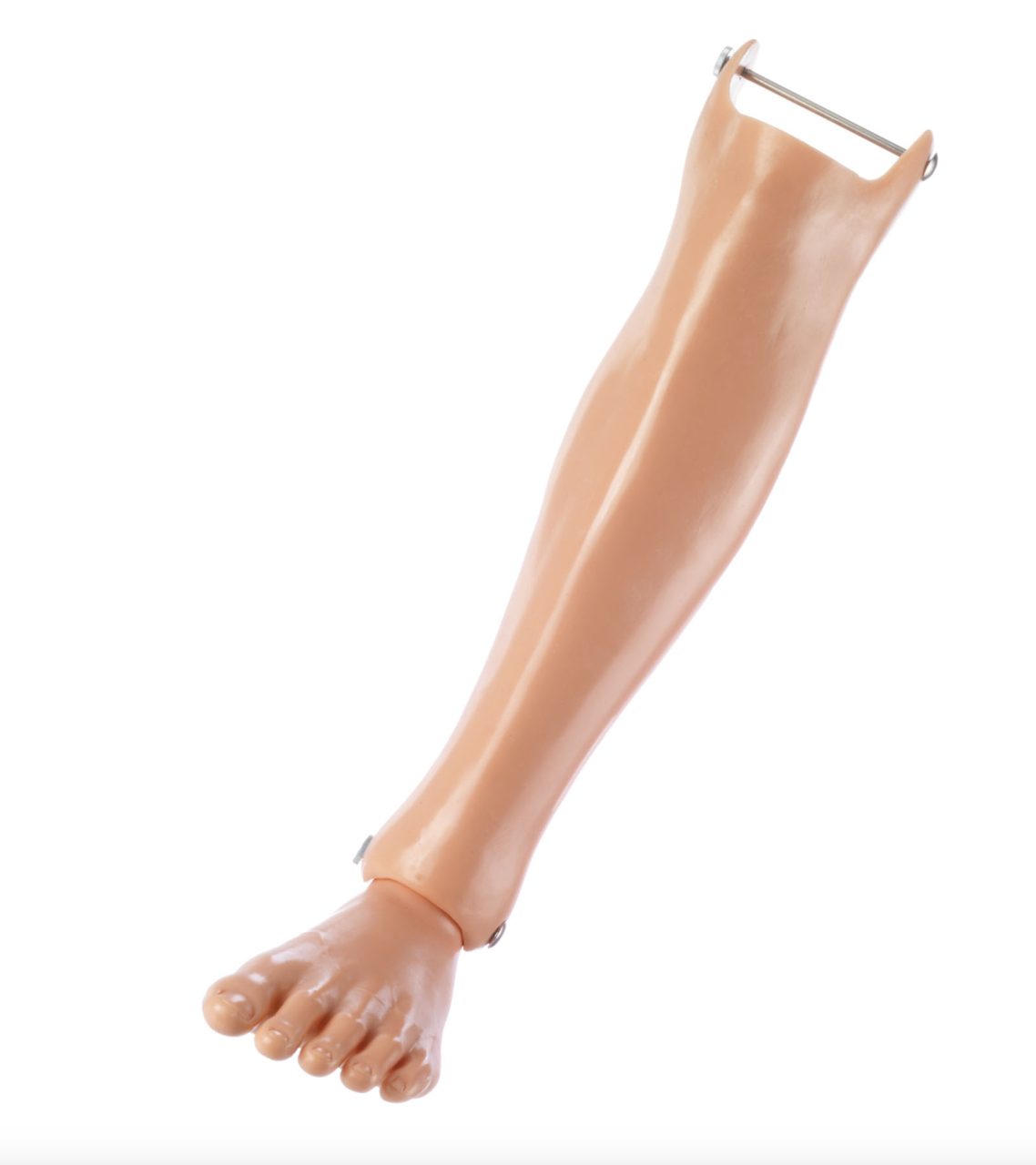 Left Lower Leg With Foot