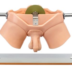 Urological Practice Trainer