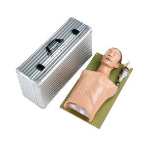 Adult Intubation Trainer