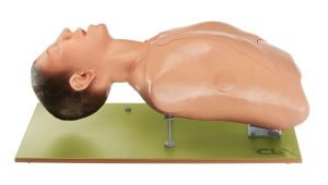Intubation Phantom