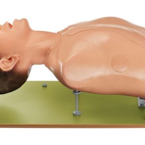 Intubation Phantom