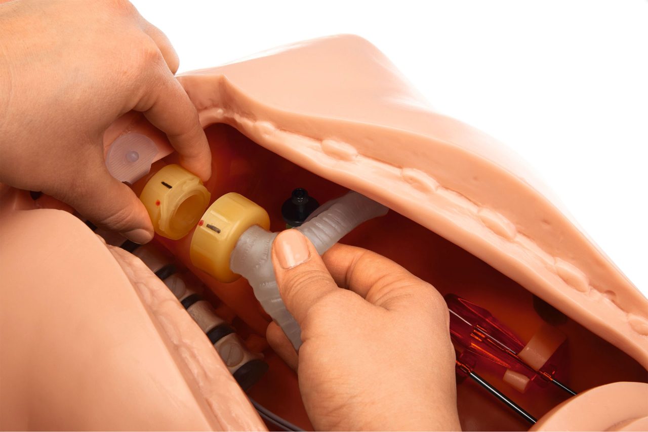 Intubation Phantom