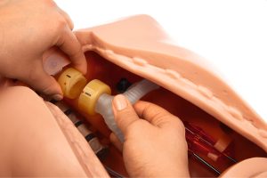 Intubation Phantom