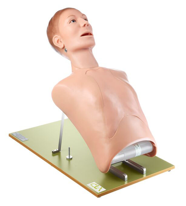 Bronchoscopy Model “Broncho Boy”