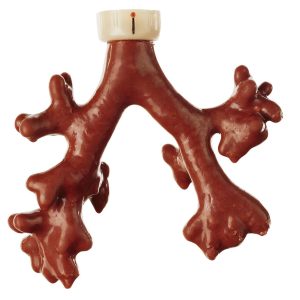 Fluorescent Bronchial Tree