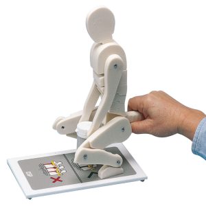 Lifting Manikin
