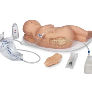 Paediatric Caudal Injection Simulator