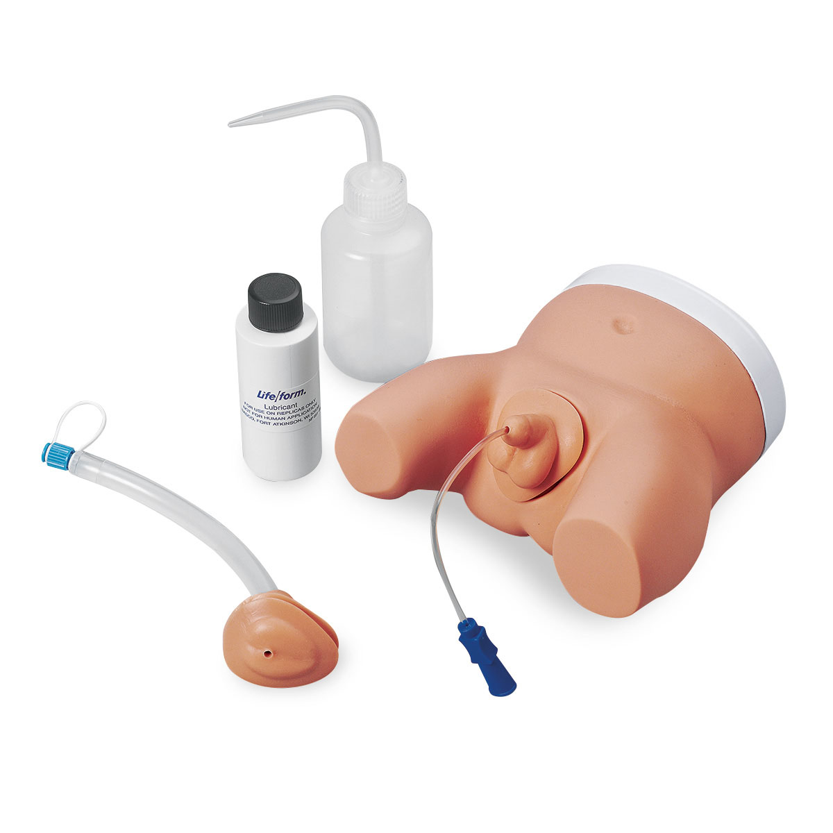 Infant Male and Female Catheterisation Model