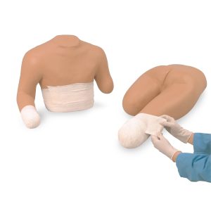 Set of Upper and Lower Torso Stump Bandaging Simulators