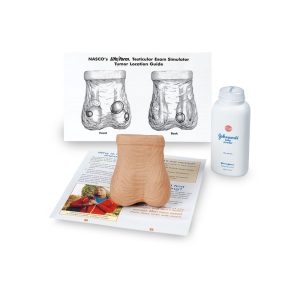 Testicular Examination Simulator