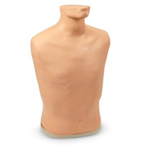 Additional Auscultation Trainer Body