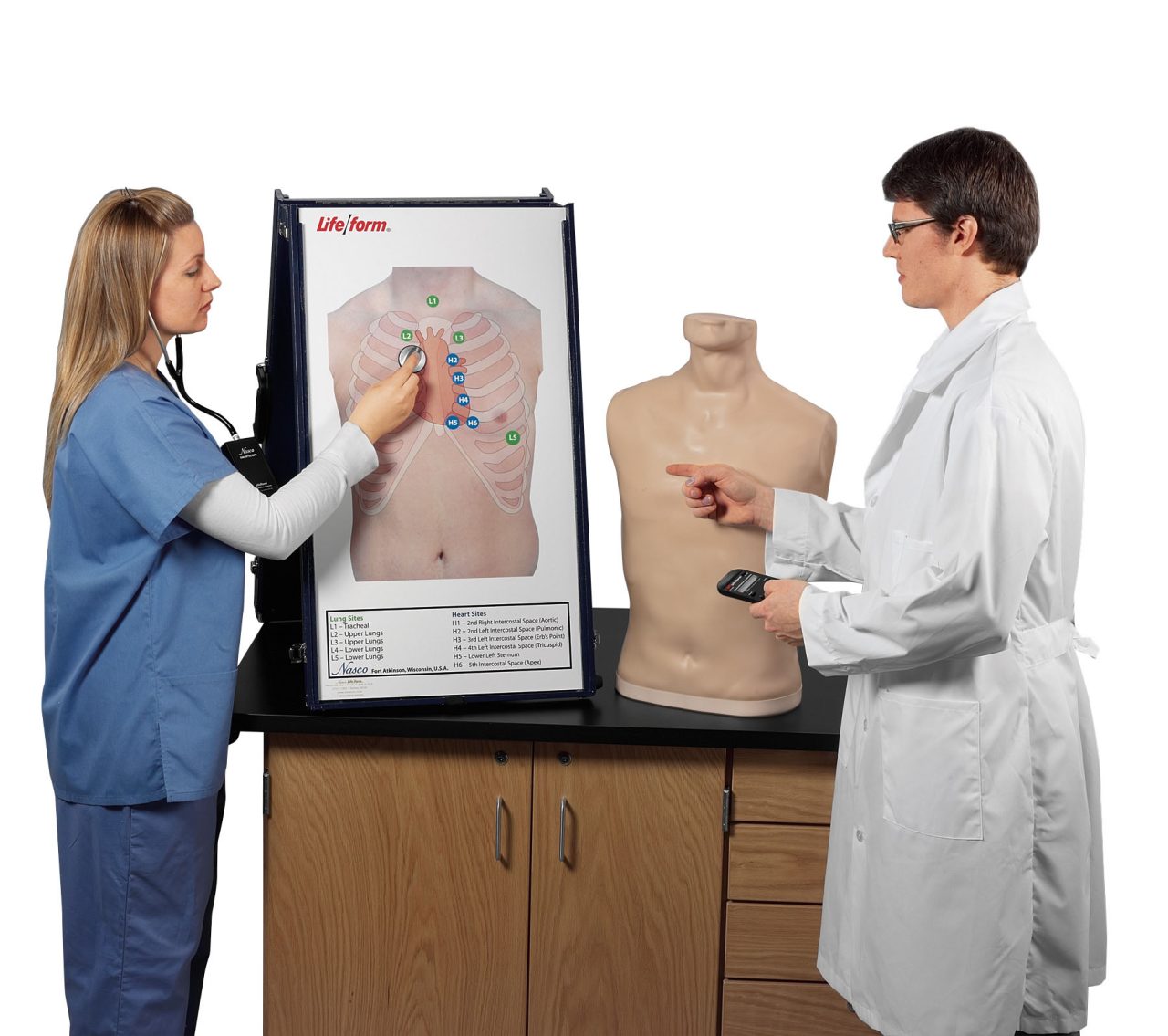 Auscultation Training Station With Anterior Auscultation Board