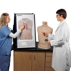 Auscultation Training Station With Anterior Auscultation Board