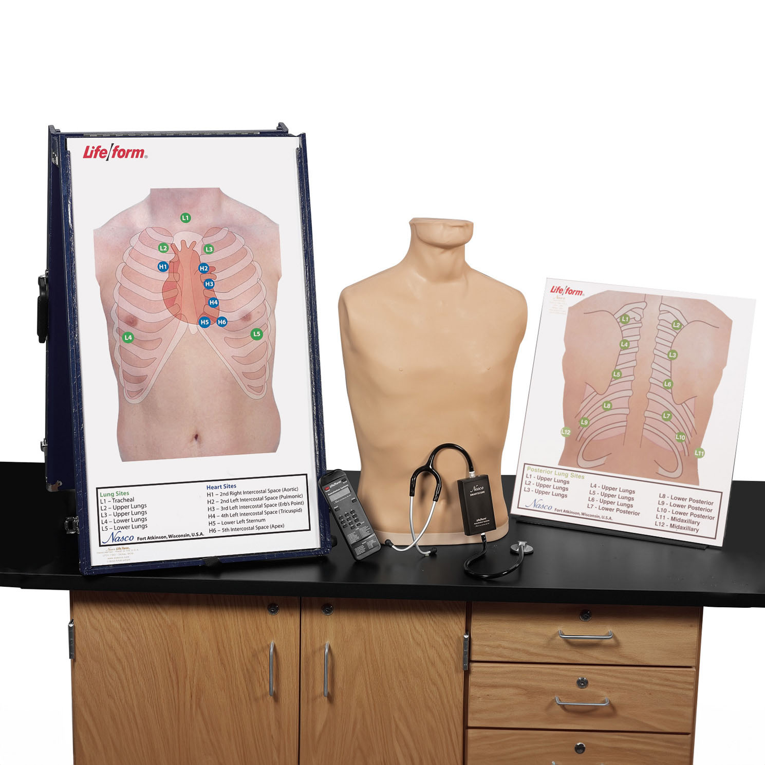 Deluxe Auscultation Training Station With Anterior and Posterior Auscultation Boards