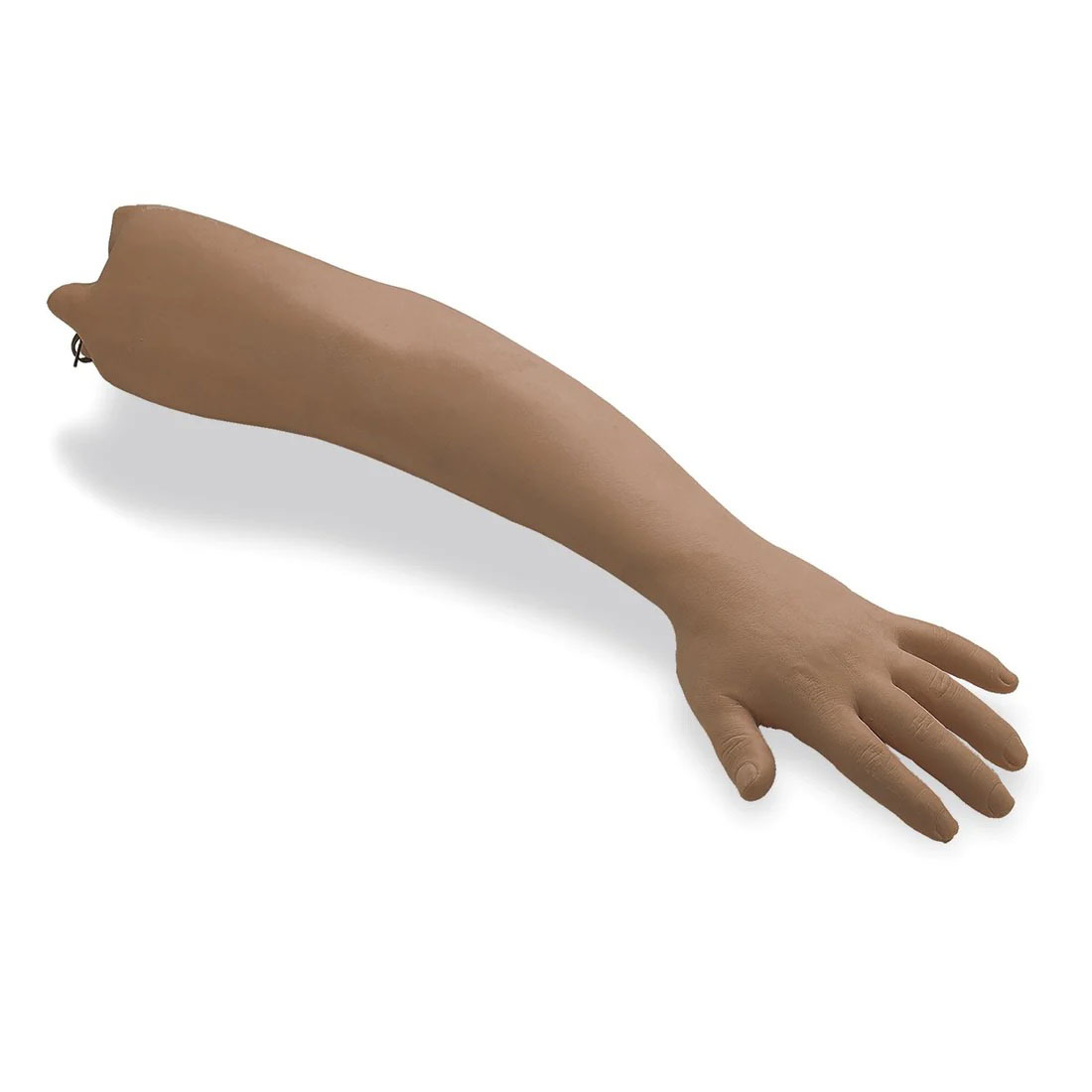 Haemodialysis Practice Arm, Medium