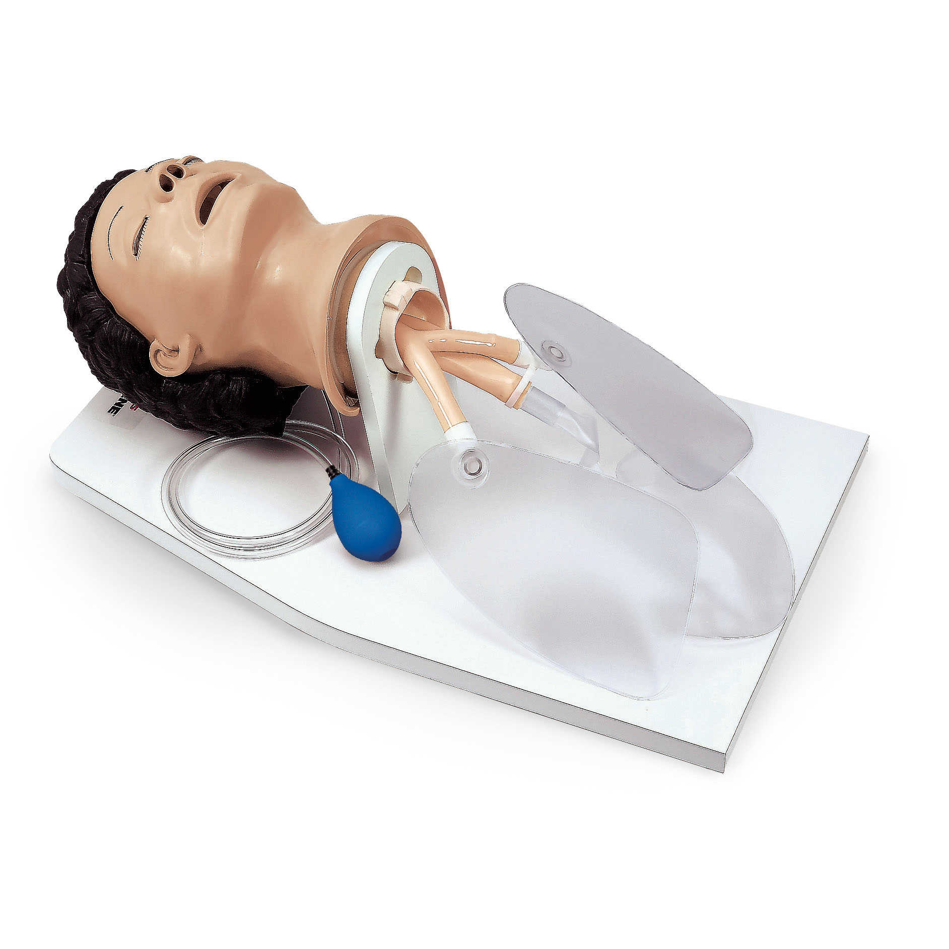 Adult Airway Management Trainer With Stand