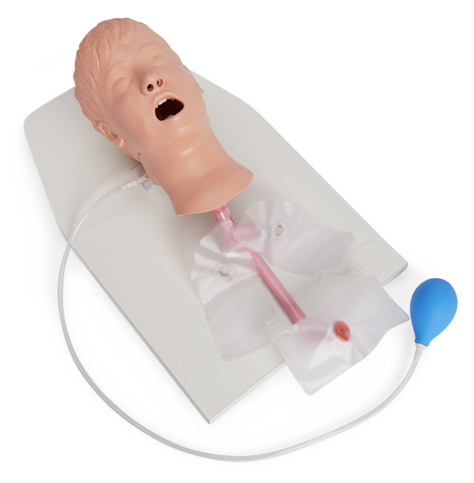 Child Airway Management Trainer on Stand