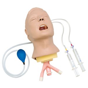 Advanced Airway Larry Adult Trainer Head