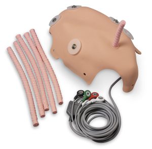 ECG/Umbilical Cannulation Skin
