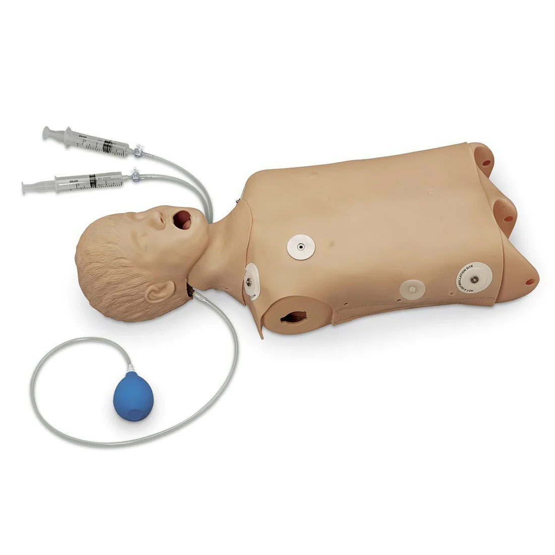 Advanced Child CPR/Airway Management Torso with Defibrillation Features