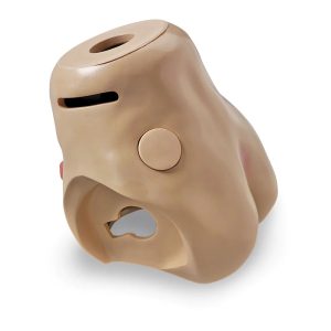 Torso, Lower, Keri™