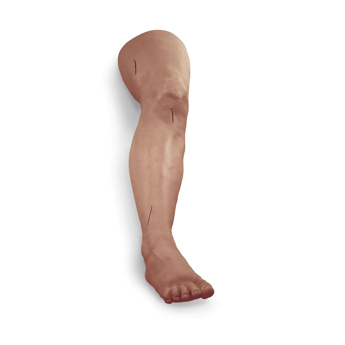 Suture and Stapling Practice Leg, Medium