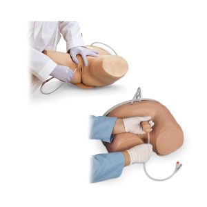 Male & Female Catheterisation Simulator Set, Light