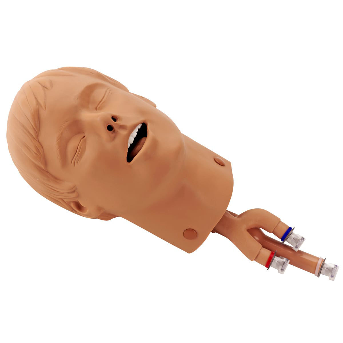 Intubation Head