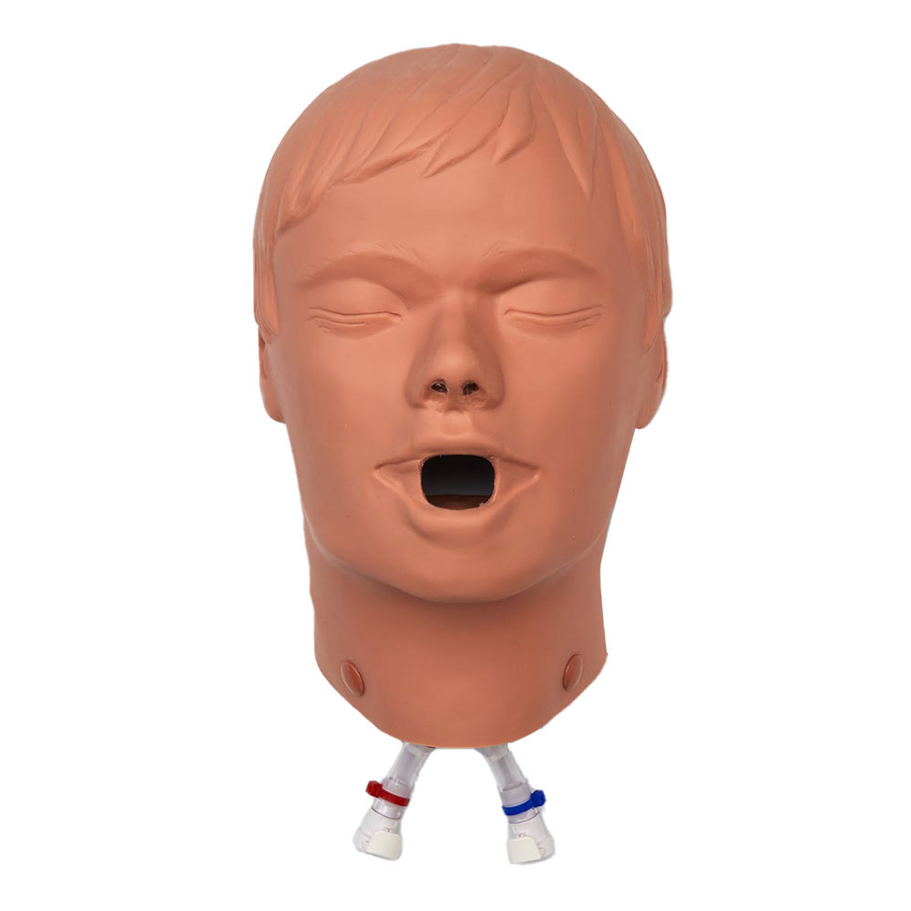 CPR Head