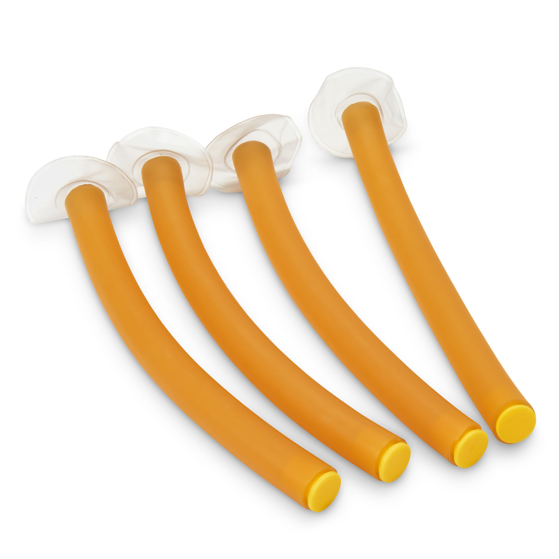 Adult Airway With Lung (Pack of 4)