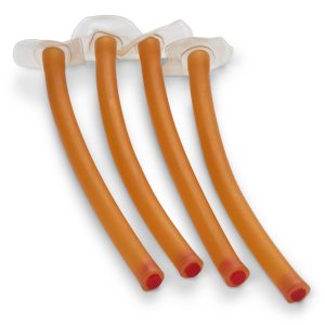 Three-year-old Airway With Lung (Pack of 4)