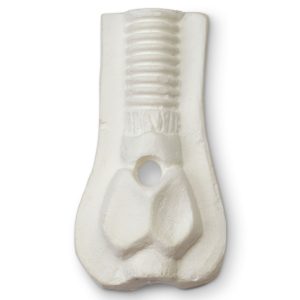 Three-year-old Trachea