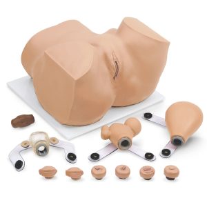 EVA Gynaecological Manikin