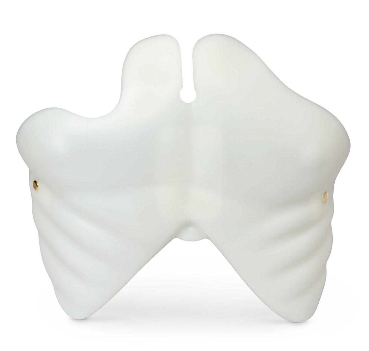Brad™ and Paul™ Chest Plate