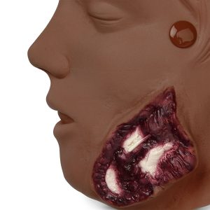 Full-Body CPR Trauma Moulage Kit