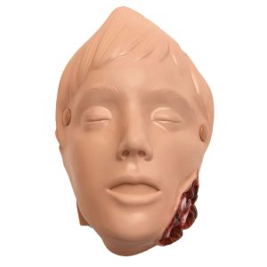 Jaw Wound (for Manikin Use Only)