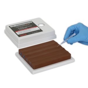 Four Vein Venepuncture Training Aid, Dark