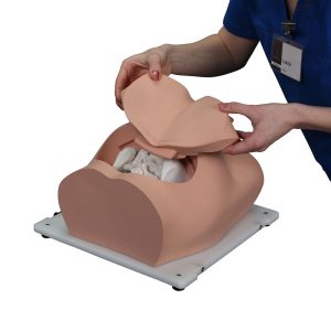 Bonnie Bone Marrow Biopsy Skills Trainer