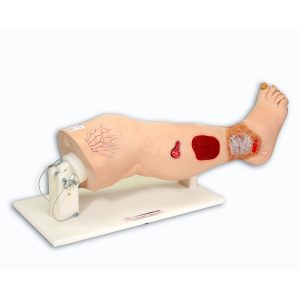 Vinnie Venous Insufficiency Leg™, Light