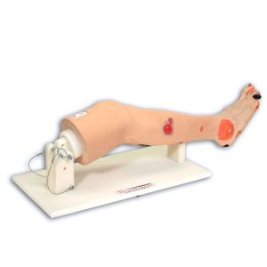 Annie Arterial Insufficiency Leg™, Light