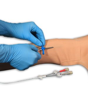 Peter PICC Line Model With Case