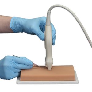 Vascular Access Ultrasound Phantom, Light