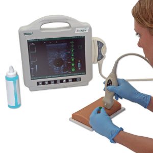 Vascular Access Ultrasound Phantom, Light