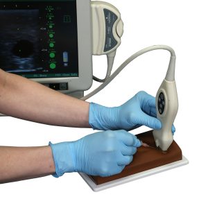 Vascular Access Ultrasound Phantom, Dark